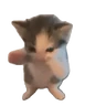 Stickers Hachimi chimichi📲Gatos michis🐱