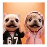 Stickers Perro Pibble Tiktok 🐶 ❤️