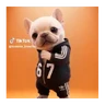 Stickers Perro Pibble Tiktok 🐶 ❤️