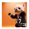 Stickers Perro Pibble Tiktok 🐶 ❤️