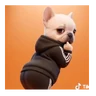 Stickers Perro Pibble Tiktok 🐶 ❤️