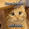 Stickers Gatitos con Estados Alterados