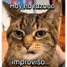 Stickers Gatitos con Estados Alterados