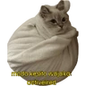 Gatos 2