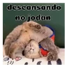 Stickers Gatos respuesta 😽✏️💬