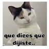 Stickers Gatos respuesta 😽✏️💬