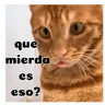 Stickers Gatos respuesta 😽✏️💬
