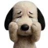 Snoopy teddy 🦴🏠