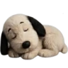 Snoopy teddy 🦴🏠