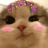Stickers Gatos 💕