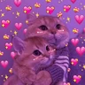 Stickers Gatos 💕