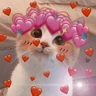 Stickers Gatos 💕