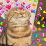 Stickers Gatos 💕