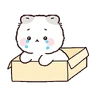 Stickers Gatos cute 😽 ฅ⁠^⁠•⁠ﻌ⁠•⁠^⁠ฅ