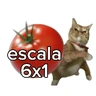 Stickers Tomates & Gatos 🍅
