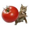 Stickers Tomates & Gatos 🍅