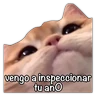 Stickers GATO CON FRASES PARA LIGAR
