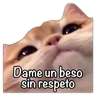 Stickers GATO CON FRASES PARA LIGAR