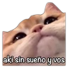Stickers GATO CON FRASES PARA LIGAR
