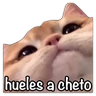 Stickers GATO CON FRASES PARA LIGAR