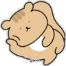 Stickers Ardilla 🐿 Coreana 