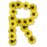 Stickers Letras ♡ Girasol 