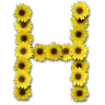 Stickers Letras ♡ Girasol 