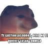 Stickers En fin la hipocresía 
