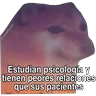 Stickers Hipocresía Cheems 2.0 