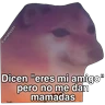 Stickers Hipocresía Cheems 