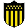 Stickers ⚽ Equipo de Futbol Sudamerica