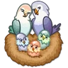 Stickers 🐦Pajaros Lindos🐦 