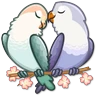 Stickers 🐦Pajaros Lindos🐦 