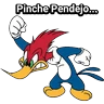 Stickers Pajaro Loco