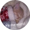 Stickers 12.2 Cansado BuenasN Mimir