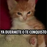 Stickers 12.2 Cansado Dor Desvelo -