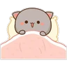 Stickers 12.2 Cansado Dorm Cari #