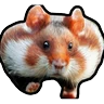 Stickers Hamsters Memes