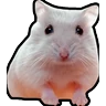 Stickers Hamsters Memes