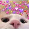 Stickers hearts
