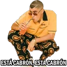 Stickers Las que no iban a salir • Bad Bunny