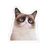 Stickers Memes para WhatsApp