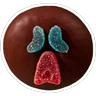Stickers Paleta Payaso