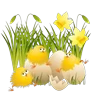 Stickers Pascua 