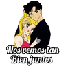 Stickers Sailor Moon 3