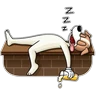 Stickers Crazy Dogs 