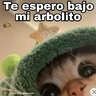 Stickers Gatitos Navidad