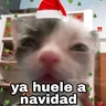 Stickers Gatitos Navidad