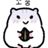 Stickers Ara-G team 2 