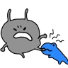 Stickers Korean ants win 